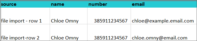 importing files with customer data
